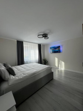 Casa Decebal Azuga